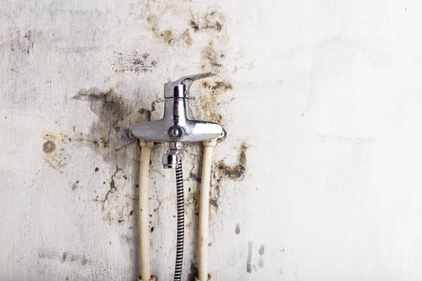Best Mold Testing  in Stanton, NE
