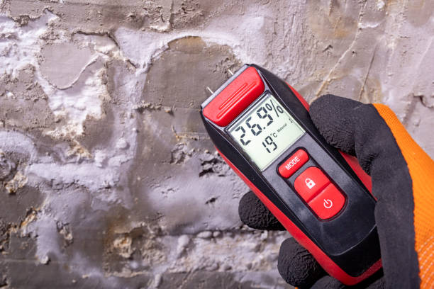 Best Toxic Mold Removal  in Stanton, NE